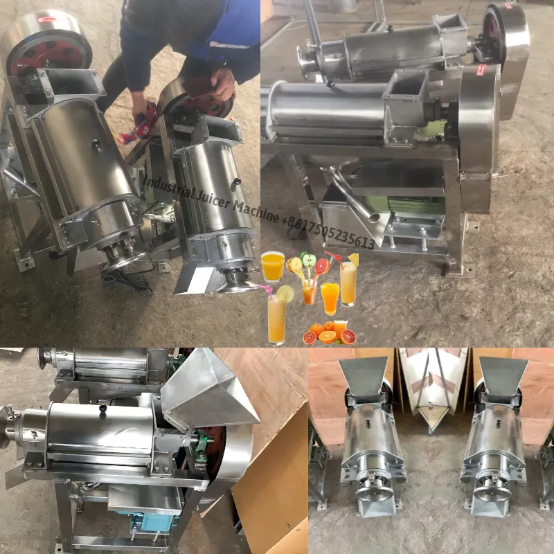 Industrial ginger juicer extractor machine