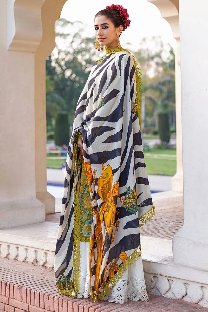 Mohsin Naveed Ranjha Festive Luxury Lawn Collection – Tulsi