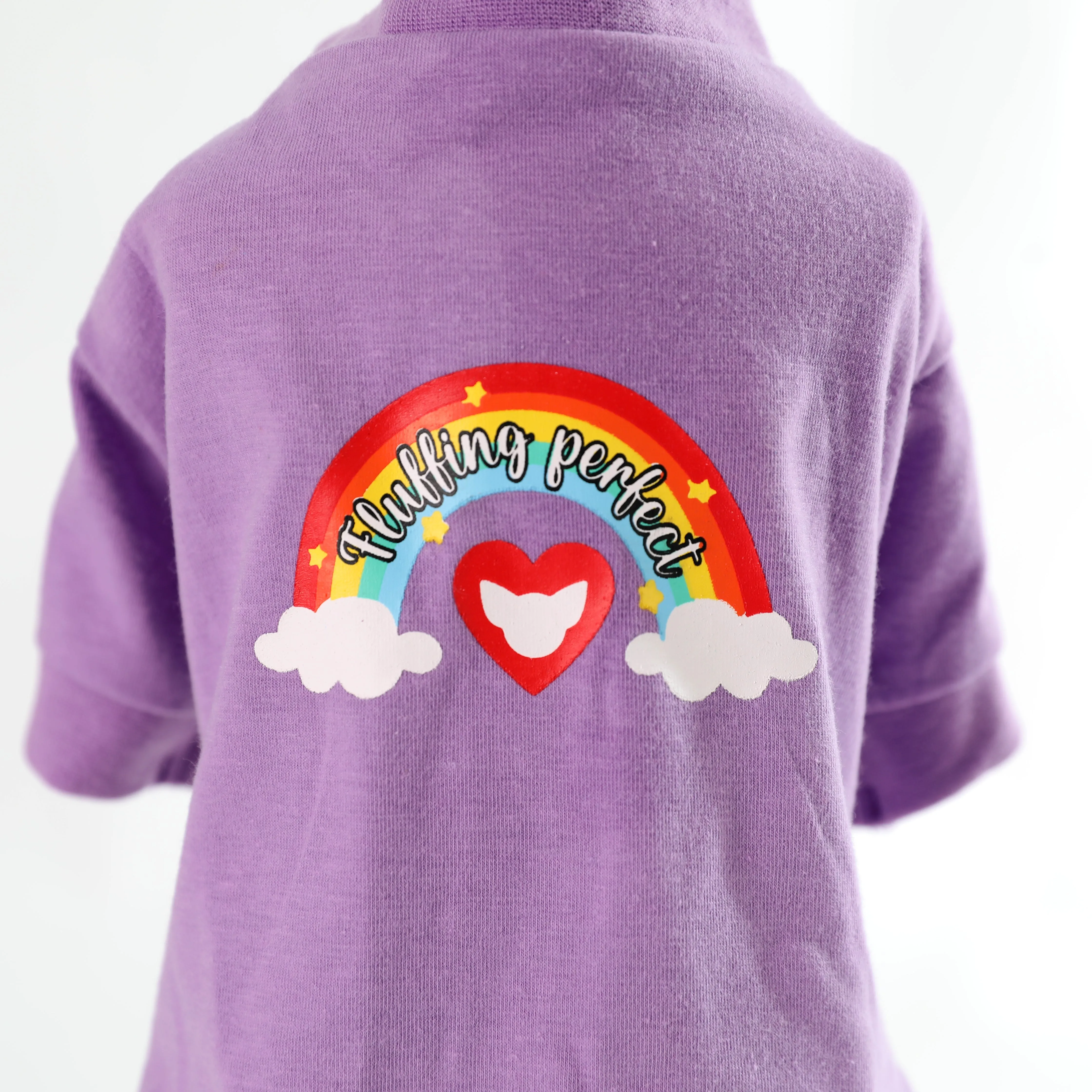 Pride Graphic T-shirt | Fluffing Perfect Collection