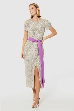 Sandie Silver Sequin Pencil Dress