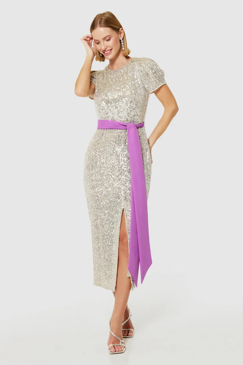 Sandie Silver Sequin Pencil Dress