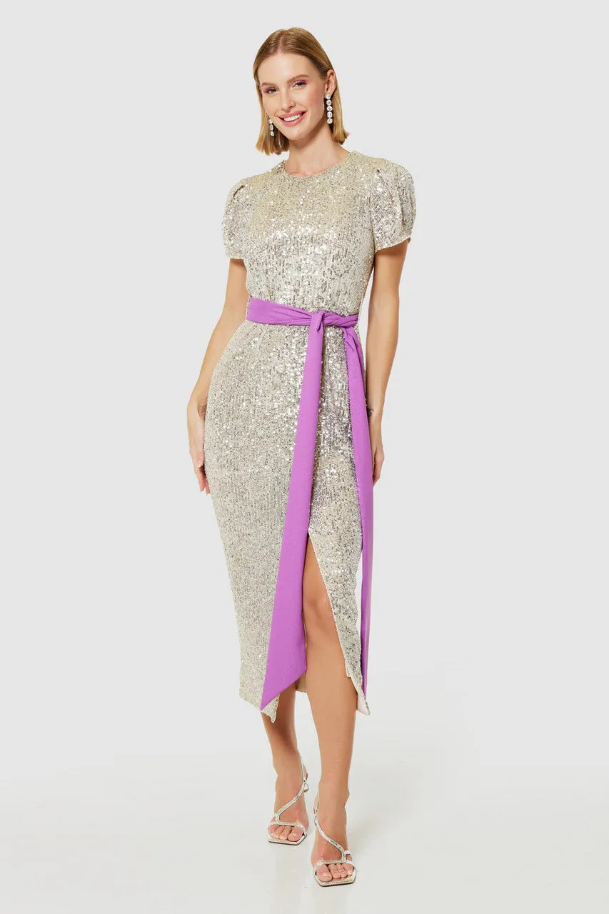 Sandie Silver Sequin Pencil Dress