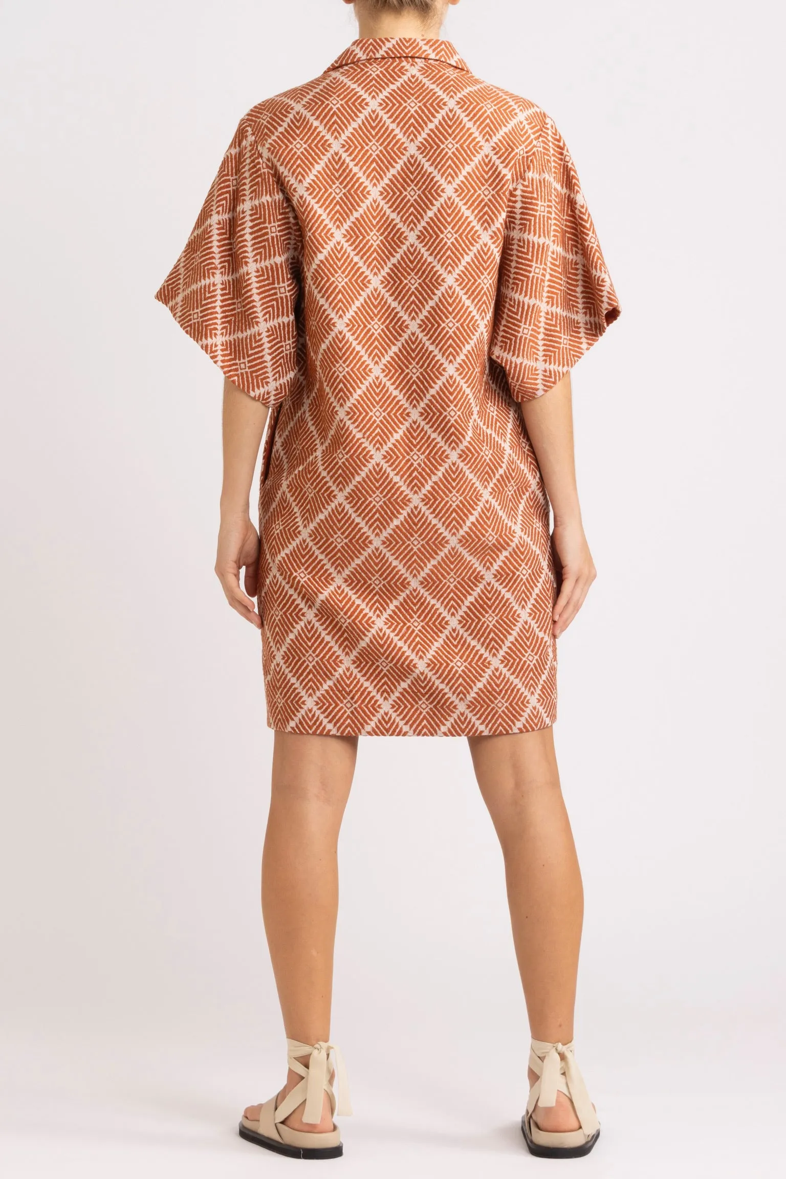 Tallulah Shirt Dress